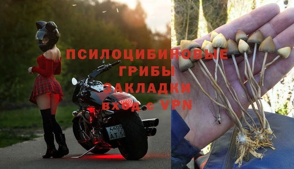 мескалин Аркадак