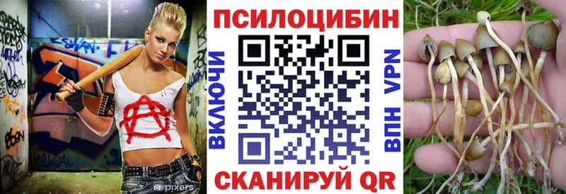 Псилоцибиновые грибы Magic Shrooms  Тогучин 